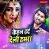 About Kehan Dard Dailo Hamra Song